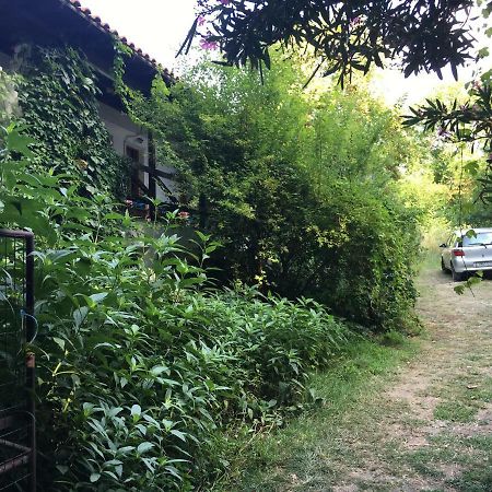 Avra Apartments Θέρμα Εξωτερικό φωτογραφία